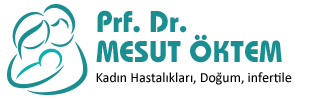 Prof. Dr. Mesut Öktem